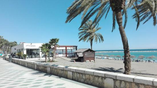 Sunset beach promenade in Malaga with palm trees and seaside cafes, perfect for relaxing in the sun.