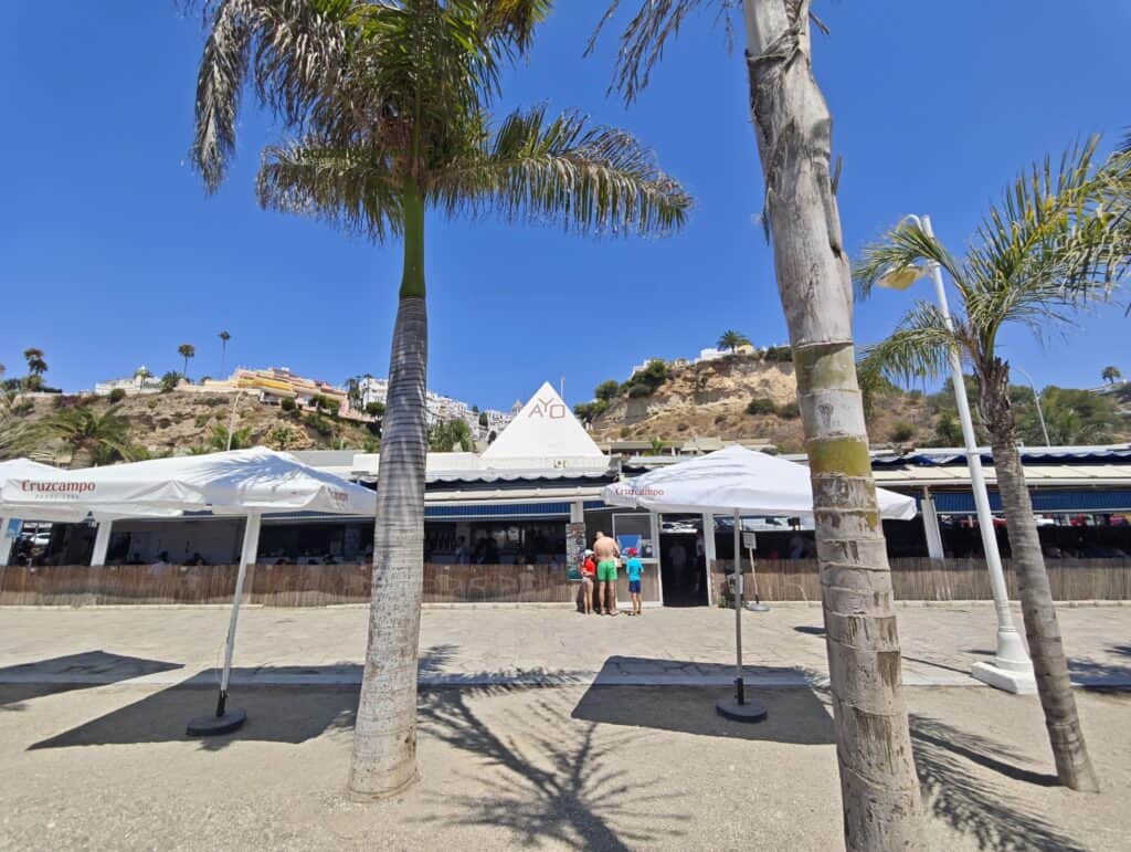 Chiringuito Ayo entry with palms in burriana beach