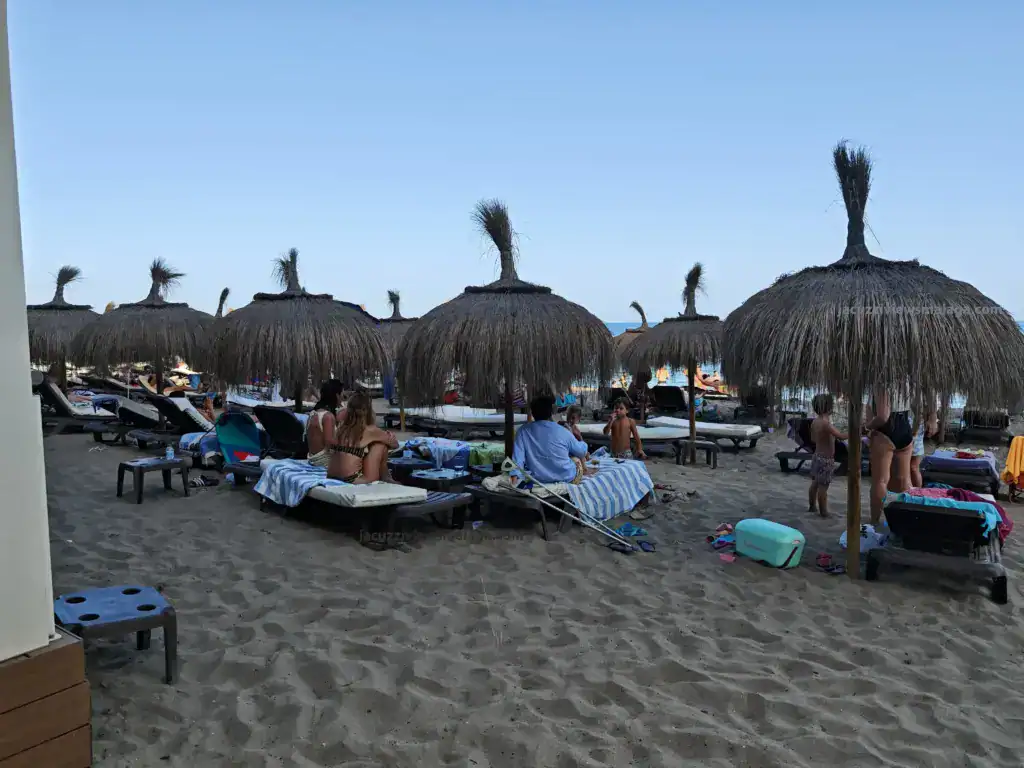 Sunbeds chiringuito oasis