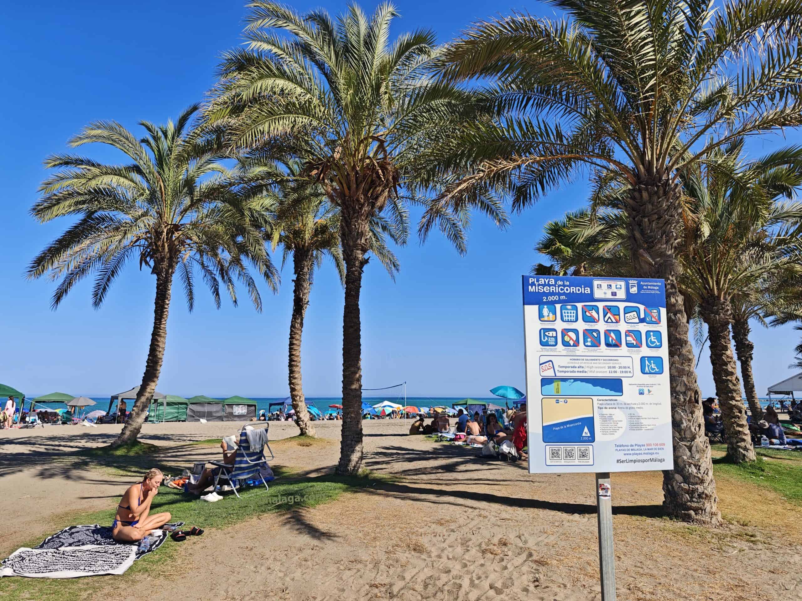 Malaga misericordia beach a woman sitting on a beach with palm trees